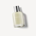 Burberry Weekend 100ml EDP Spray Women - Image 3