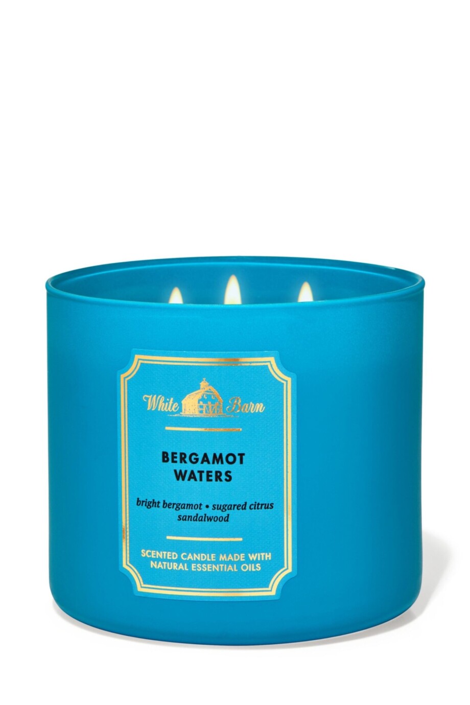 B&BW Bergamot Waters 3-Wick Scented Candle