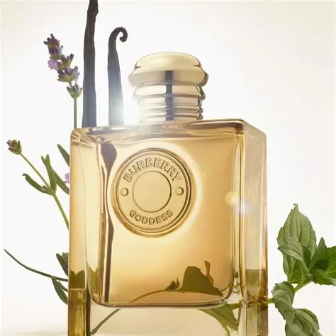 OIP (12) Burberry Goddess by Burberry 100ml Parfum Spray Women. - Image 1